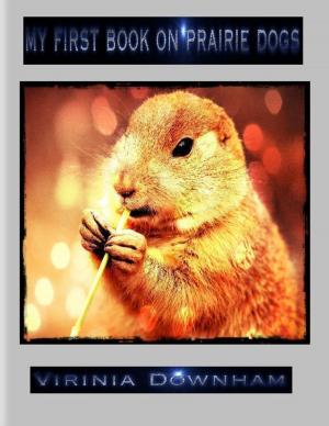 Cover of the book My First Book on Prairie Dogs by Troy C. Stewart, Sr.