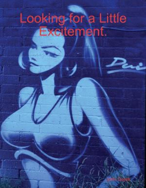 Book cover of Looking for a Little Excitement.