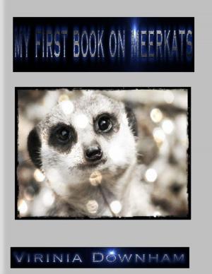Cover of the book My First Book on Meerkats by Ibiloye Abiodun Christian