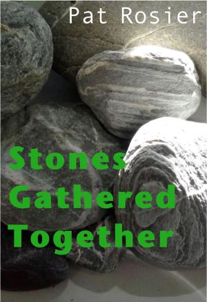 Book cover of Stones Gathered Together