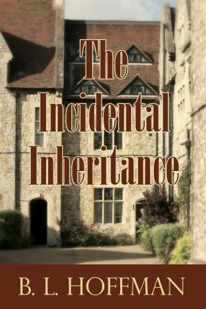 Cover of The Incidental Inheritance