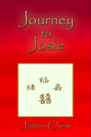 Cover of the book Journey To Josie by Monte Hobson