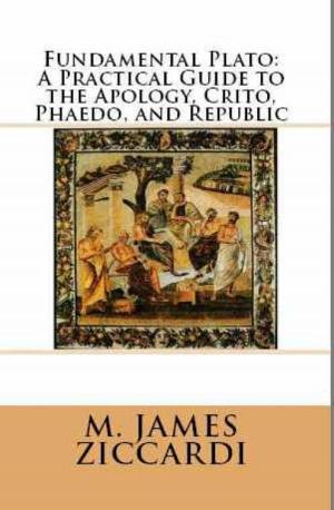 Cover of the book Fundamental Plato: A Practical Guide to the Apology, Crito, Phaedo, and Republic by M. James Ziccardi