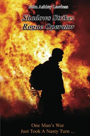 Cover of the book Shadows Strike Rogue Operator by Phillip Stephen Drury