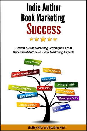 Cover of Indie Author Book Marketing Success: Proven 5-Star Marketing Techniques from Successful Authors and Book Marketing Experts