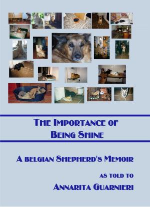 Book cover of The Importance of Being Shine