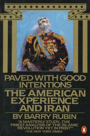 Cover of the book Paved with Good Intentions by Daniel Hirschhorn