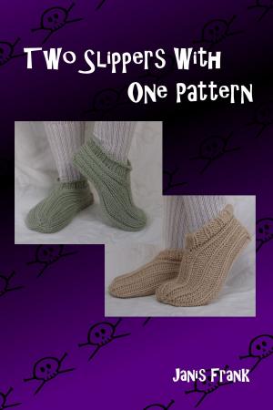 Cover of the book Two Slippers with One Pattern by Anna Hrachovec