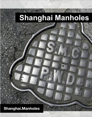 Cover of the book Shanghai Manholes by Andrew Johnston
