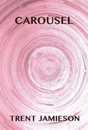 Cover of the book Carousel by Amber Lynn Natusch