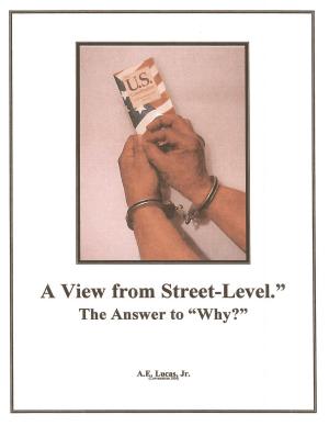 Cover of the book A View From Street-Level-The Answer to Why? by Sebastian Windsor