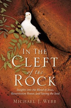bigCover of the book In the Cleft of the Rock: Insights into the Blood of Jesus, Resurrection Power, and Saving the Soul by 