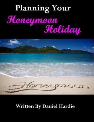 Cover of the book Planning your Honeymoon Holiday by Daniel Hardie