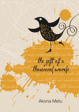 Cover of the book The Gift of a Thousand Words by Anne McMillen