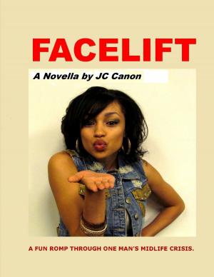 Cover of Facelift