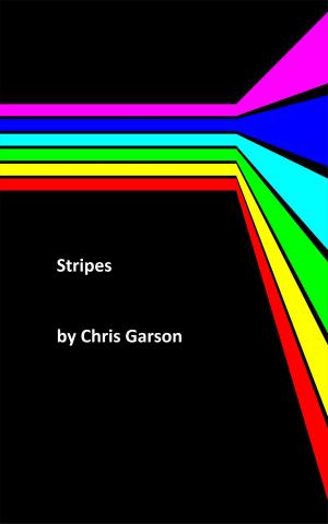 Book cover of Stripes