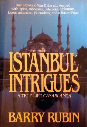 Book cover of Istanbul Intrigues