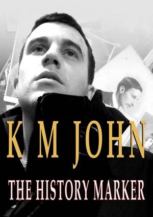 Cover of the book The History Marker by Kerry Connor