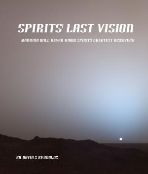Cover of the book Spirits Last Vision by SIMON WOOD