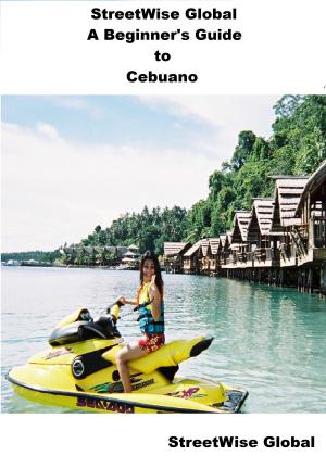 Cover of The StreetWise Beginner's Guide to Cebuano