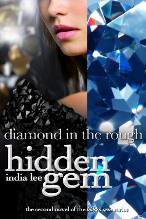Book cover of Hidden Gem #2 Diamond in the Rough