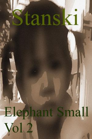 Book cover of Elephant Small Vol 2