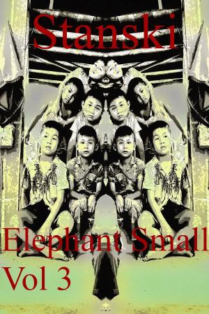 Cover of Elephant Small Vol 3