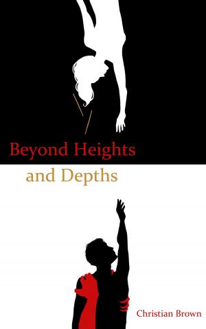Book cover of Beyond Heights and Depths