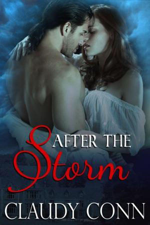 Cover of the book After The Storm by Claudy Conn