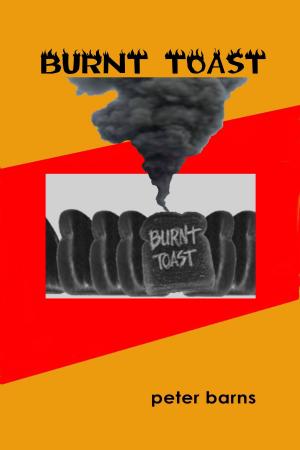 Cover of the book Burnt Toast by Charlie Chitty