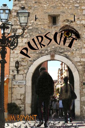 Cover of the book Pursuit by Dave Warner