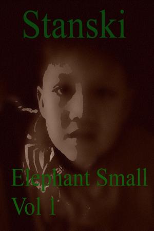 Cover of the book Elephant Small Vol 1 by John Saul