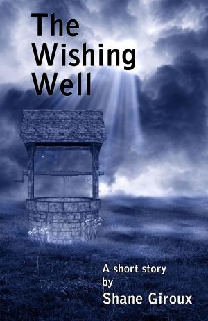 Cover of the book The Wishing Well by Augusta Blythe