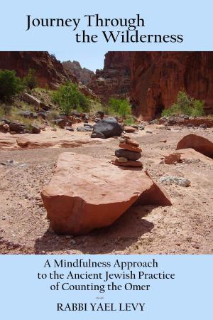 Cover of the book Journey Through the Wilderness: A Mindfulness Approach to the Ancient Jewish Practice of Counting the Omer by A. A. Candelaria