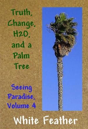 Book cover of Seeing Paradise, Volume 4: Truth, Change,H2O, and a Palm Tree