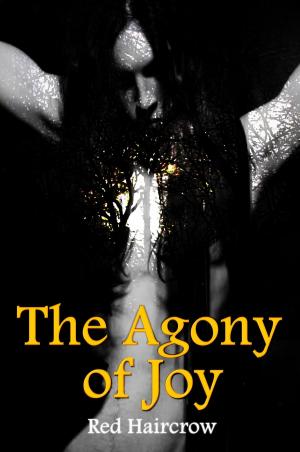 Book cover of The Agony of Joy