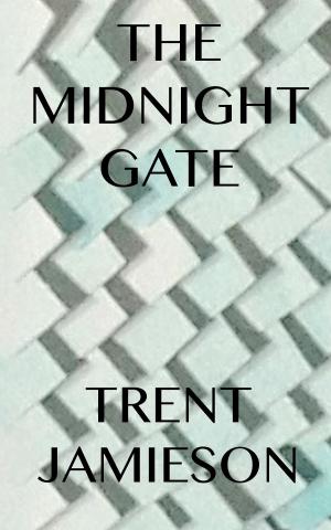 Book cover of The Midnight Gate
