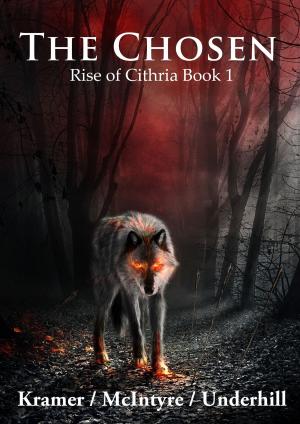 Book cover of The Chosen: Rise of Cithria Part 1