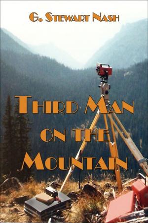 Cover of the book Third Man on the Mountain by David Mark Brown