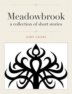Cover of the book Meadowbrook by Joann Bren Guernsey