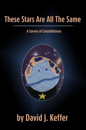 Book cover of These Stars Are All The Same: A Survey of Constellations