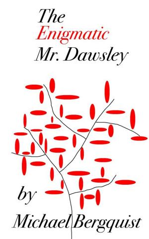 Cover of the book The Enigmatic Mr. Dawsley by Flaneur