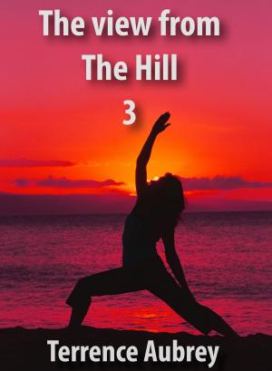 Book cover of The View from the Hill Three
