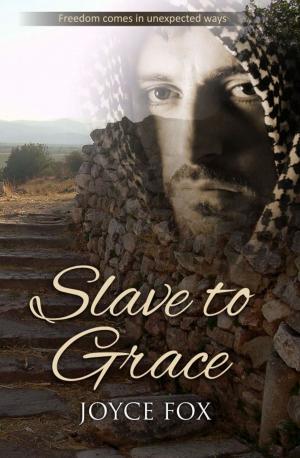 Cover of the book Slave to Grace by John Michael Chomistek