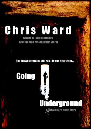 Cover of the book Going Underground by Rue Morgen