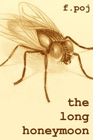 Cover of The Long Honeymoon