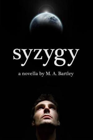 Cover of the book Syzygy by Marlène Jedynak