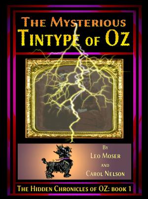 Cover of the book The Mysterious Tintype of Oz by C.M. Healy