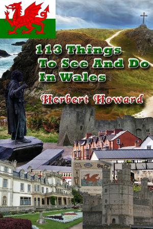 Book cover of 113 Things To See And Do In Wales