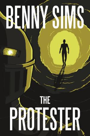 Book cover of The Protester